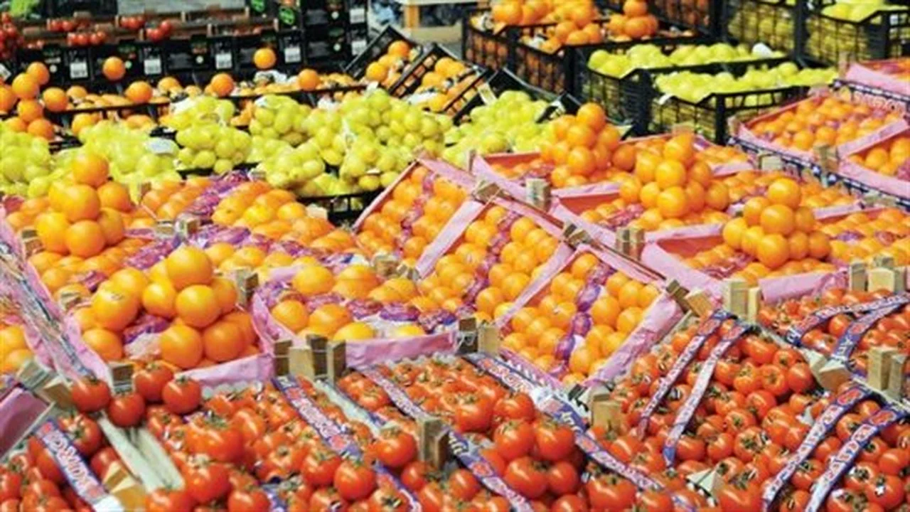 وفرة المحصول.. تراجع أسعار الفاكهة في أسواق الإسماعيلية بفضل الإنتاج المحلي